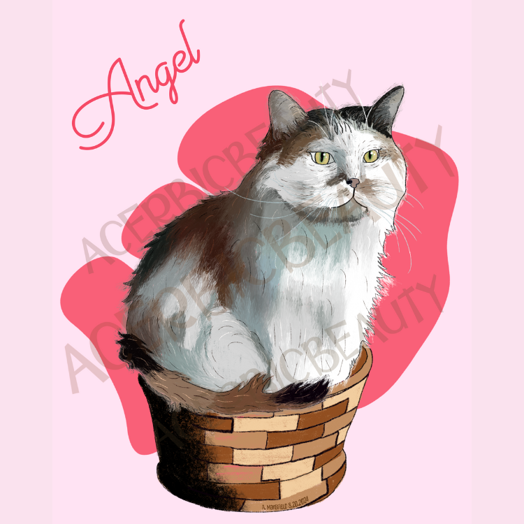 Pet portrait - cat in basket