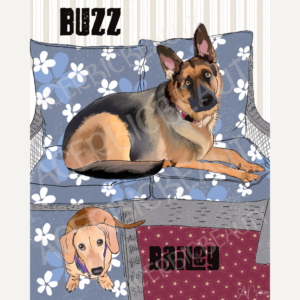 Pet portrait - german shepherd and daschund