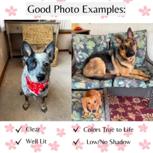 Custom Pet Portrait | 8x10 Print