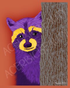 Purple Raccoon - Colorful Animal Art Print