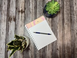 Absurdist Giraffe Handmade Daily Journal